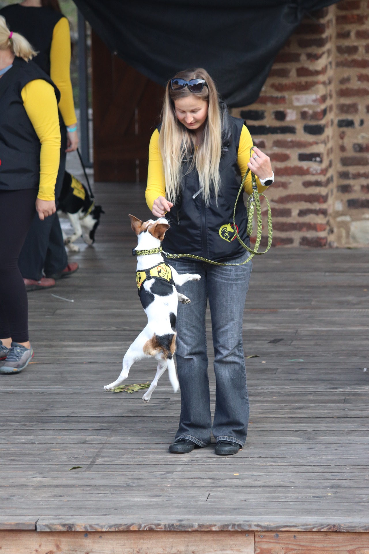 To, že jsem pošuk, to víme