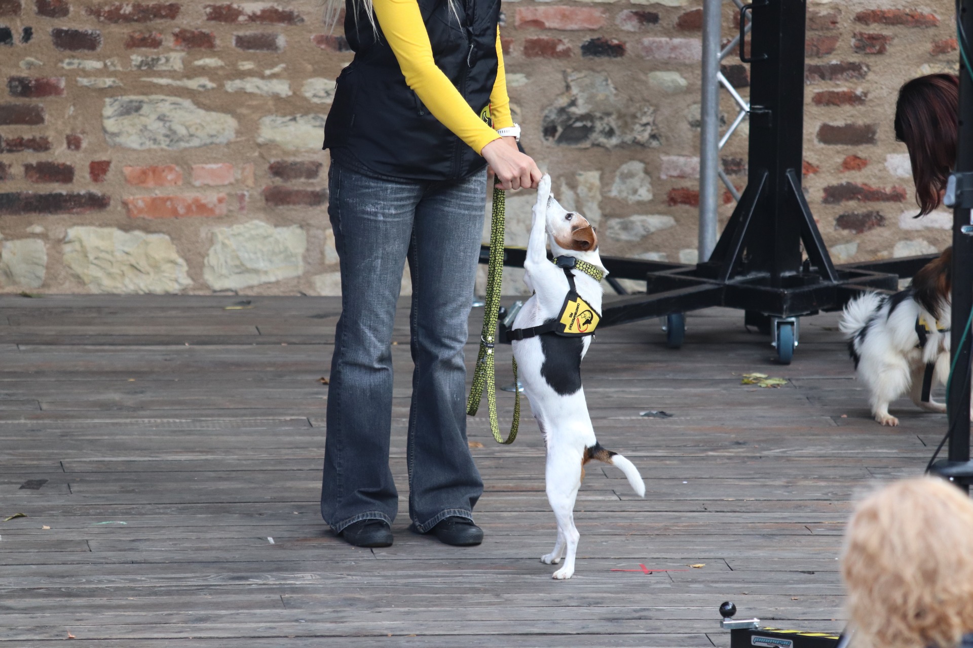 Hele co to tam máš dobrýho, uka!