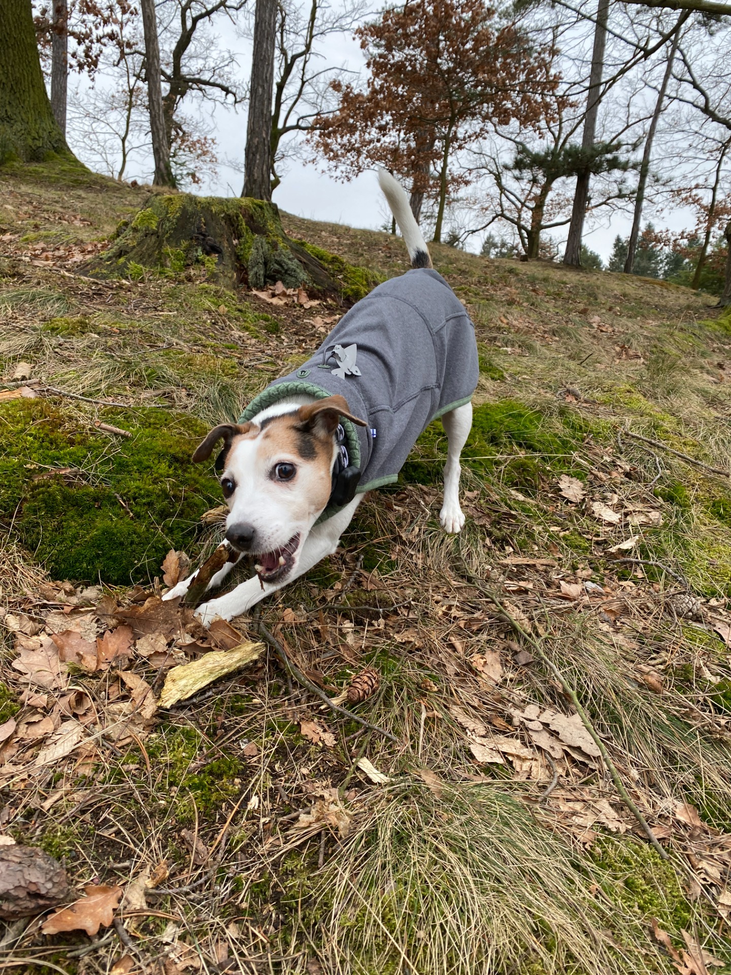To je přesně ten klacek, o kterém jsem mluvila