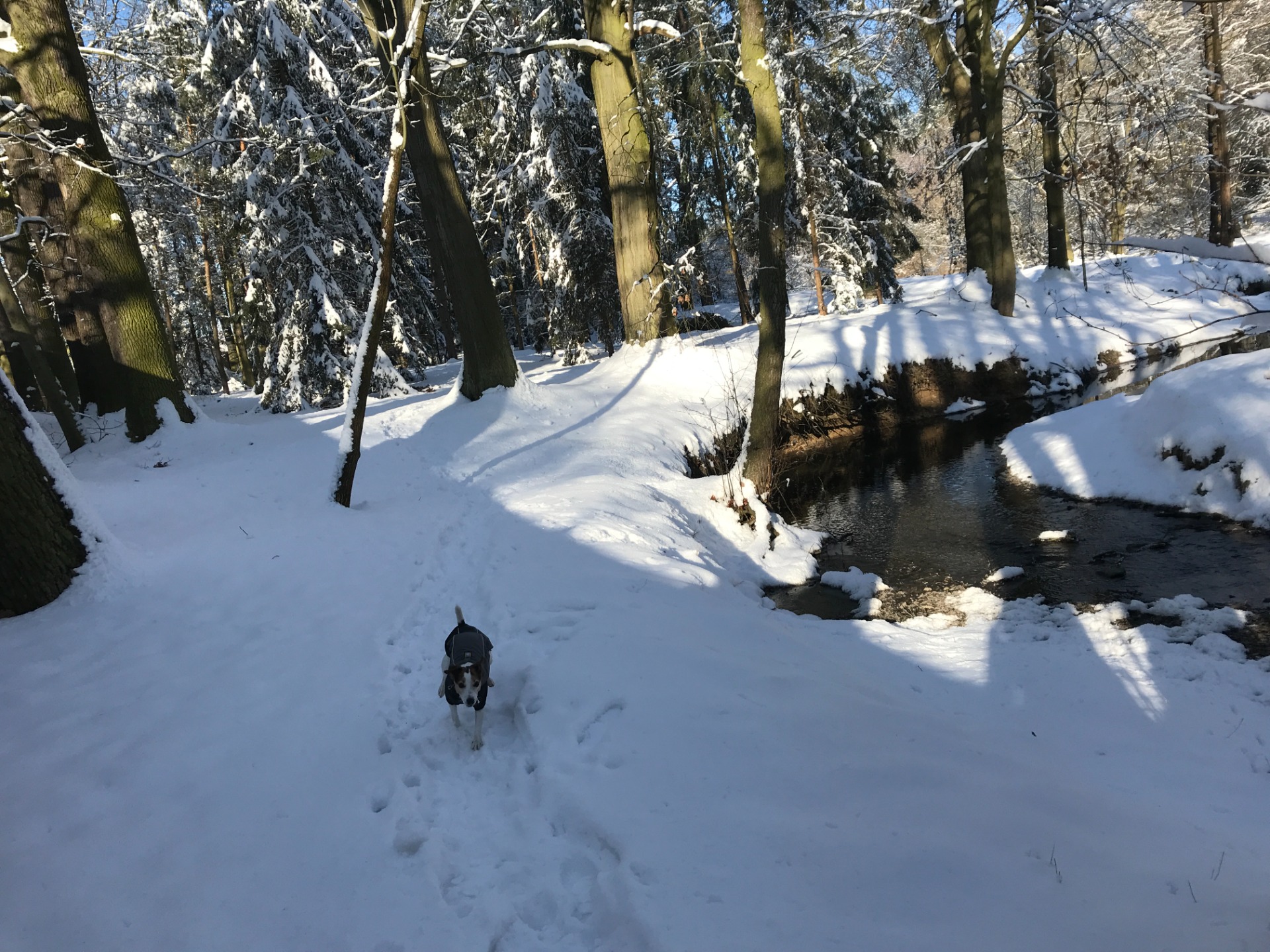 Zmrzlý tlapky, ale spokojená