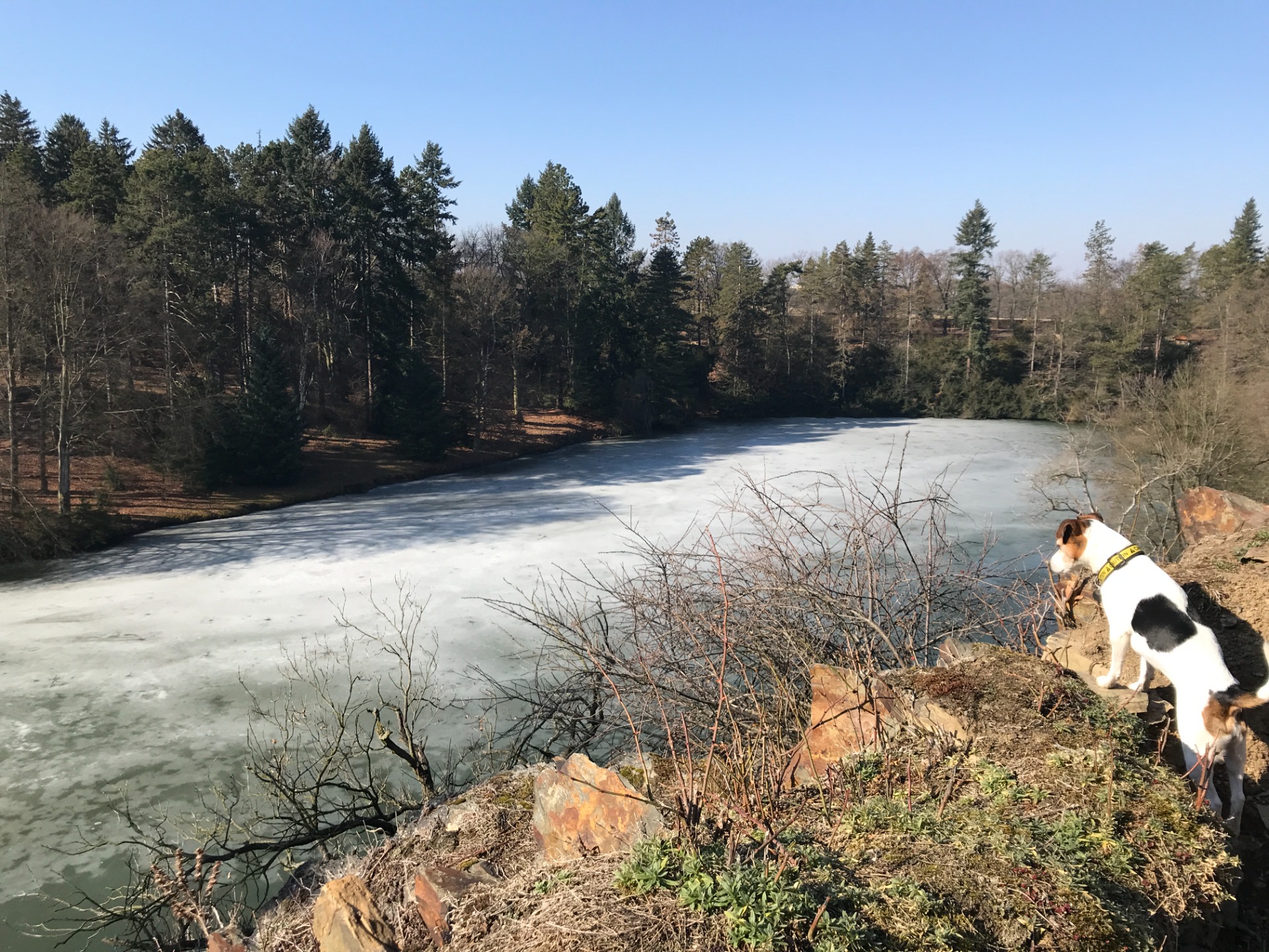 A když sníh není, bývá aspoň zmrlé skoro všechno. Včetně mě.