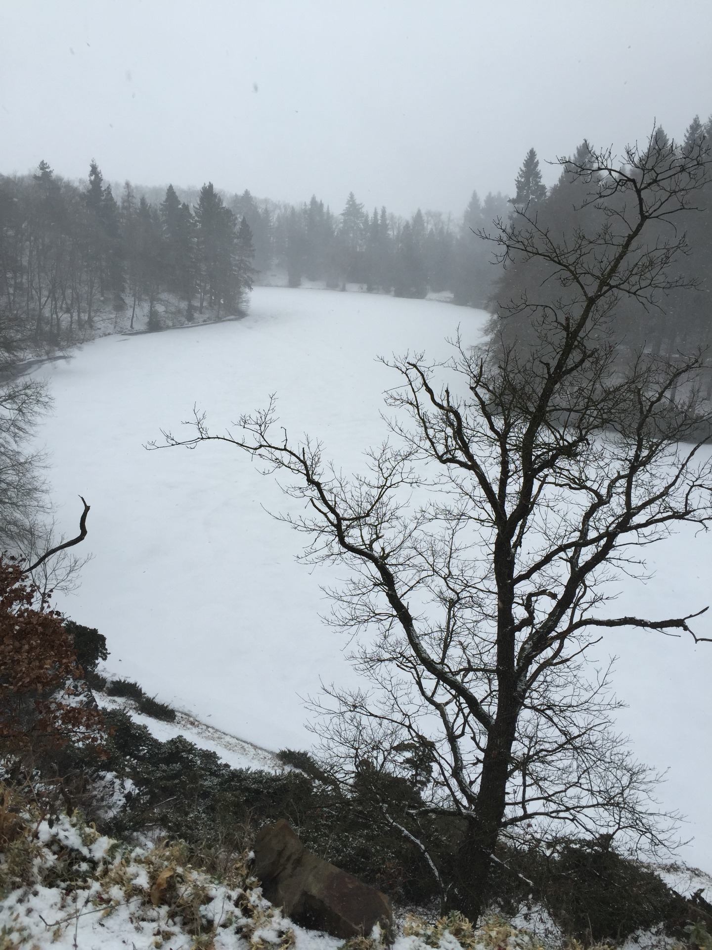 Rybníky jsou pokryté sněhem, ve kterém jsou vidět jenom stopy kachniček a králíků.