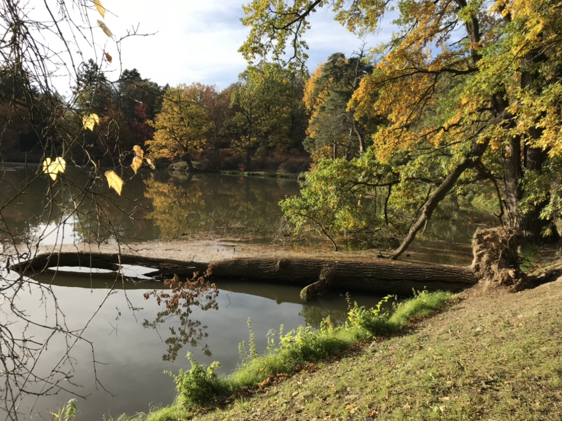 No není to dokonalý kus přírody?