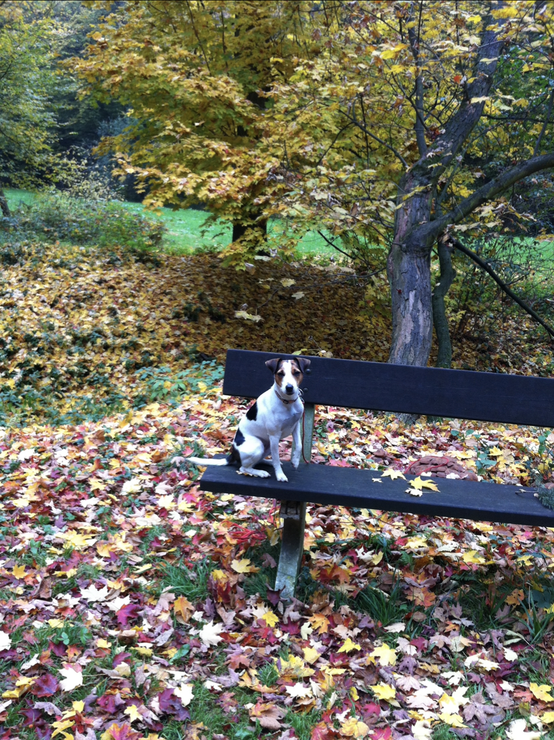 Někde všechny barvy dohromady